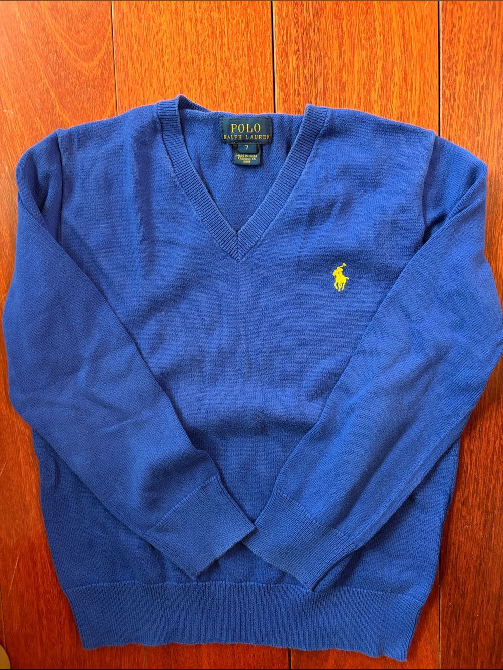 Polo by Ralph Lauren Kids V-Neck Sweater - Blue